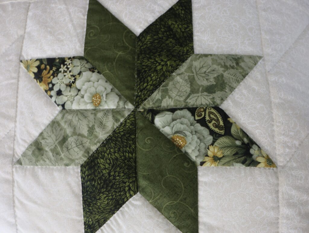 Star in Commons Quilt - Image 9